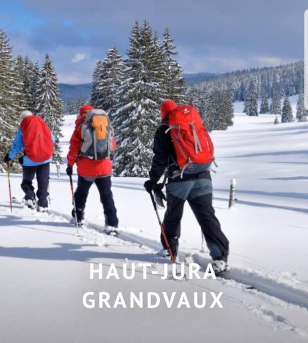 Gite Jura Mina Chalet Au Milieu De La Nature Villa Ney Ngoại thất bức ảnh
